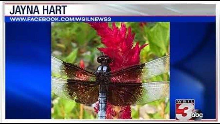 Viewer photos of the day: July 24, 2019